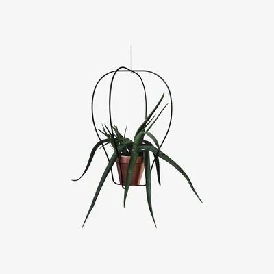 Made in Design Daniel n°2 Flowerpot stand - For flower pot / Ø 42 x H 57 cm by Compagnie Black