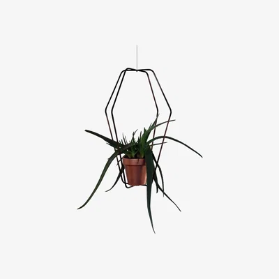 Made in Design Daniel n°1 Flowerpot stand - For flower pot / Ø 42 x H 62 cm by Compagnie Black