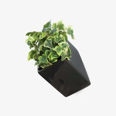 Made in Design Off the wall Wall flowerpot - D 11,5 cm by Thelermont Hupton Black