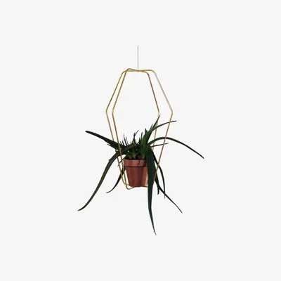 Made in Design Daniel n°1 Flowerpot stand - For flower pot /Ø 42 x H 62 cm by Compagnie Gold/Metal