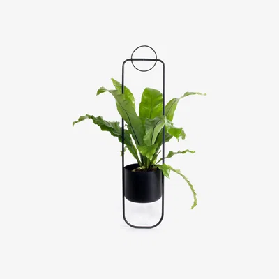 Made in Design Sonar Hanging pot - Metal by XL Boom Black