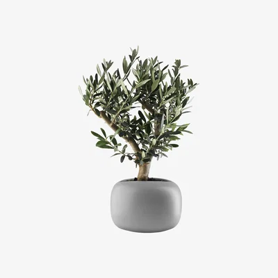 Made in Design Stone Flowerpot - / Ø 19 cm - Ceramic by Eva Solo Grey