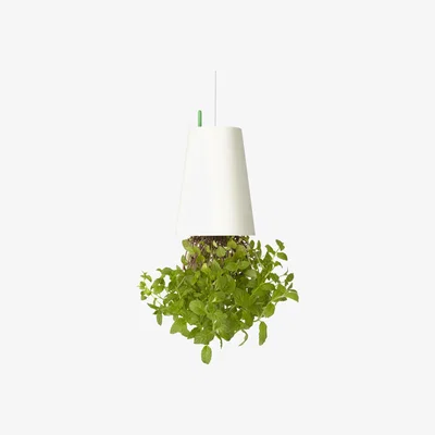 Made in Design Sky Planter - Polypropylene Small - H 12.9 cm / Upside down planter by Boskke White