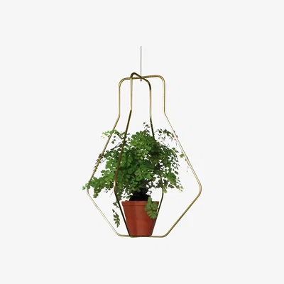 Made in Design Daniel n°3 Flowerpot stand - For flower pot / Ø 40 x H 52 cm by Compagnie Gold/Metal