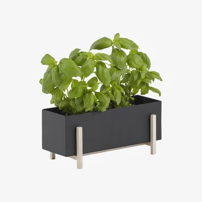 Made in Design Botanic Box Flowerpot - / 30 x 12 cm x H 13 cm by Design House Stockholm Black