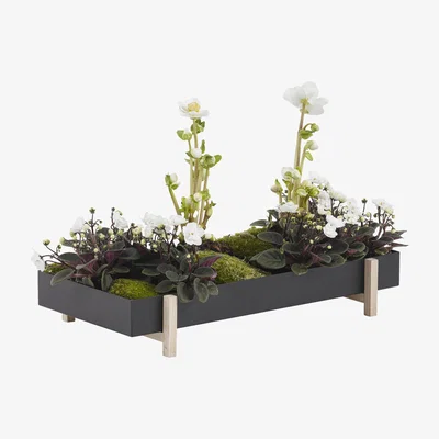 Made in Design Botanic Tray Flowerpot - / Tray - 45 x 20 cm x H 4.8 cm by Design House Stockholm Black