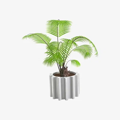 Made in Design Gear Flowerpot - Lacquered version by Slide White
