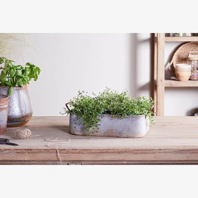 Nkuku nkuku Japos Outdoor Planter Tray | Vases & Planters | Aged Zinc