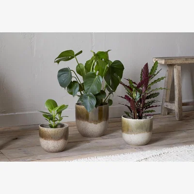 Nkuku nkuku Almeida Reactive Glaze Plant Pot | Vases & Planters | Olive/Natural | Medium