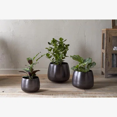 Nkuku nkuku Maliki Plant Pot | Vases & Planters | Aged Bronze | Medium