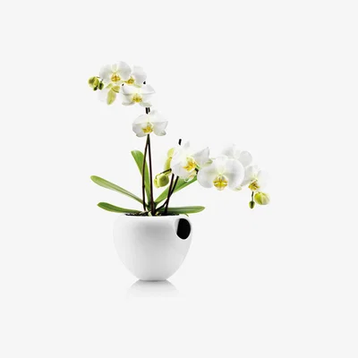 Nordic Nest Eva Solo orchidpot white