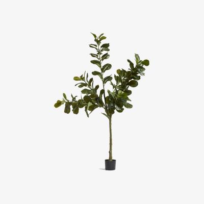 OKA OKA, Large Faux Fiddle Plant - Green, Planters