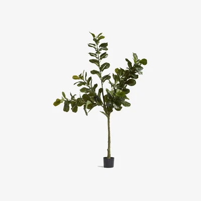 OKA OKA, Large Faux Fiddle Plant - Green, Planters