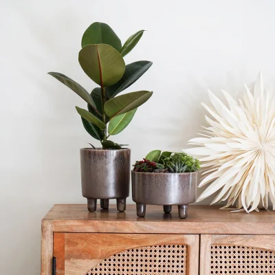 Olivia's Ivyline Pisa Reactive Glaze Planter in Mocha