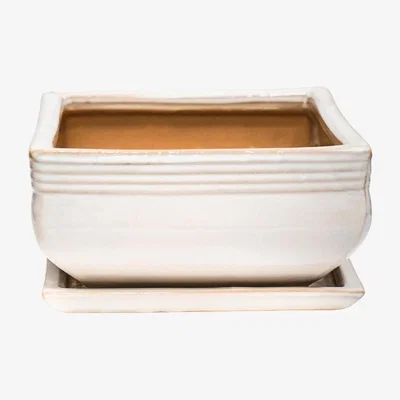 Olivia's Ivyline Set of 2 Square Bonsai Planter Cream