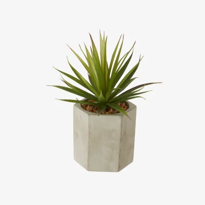 Olivia's Olivia's Freda Planter Sword Grass
