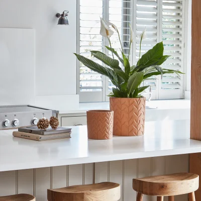 Olivia's Ivyline Fairford Ochre Speckle Leaf Planter