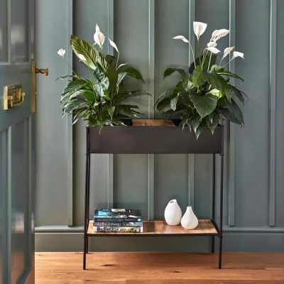 Olivia's Ivyline Indoor Kensington Metal Planter Stand in Black