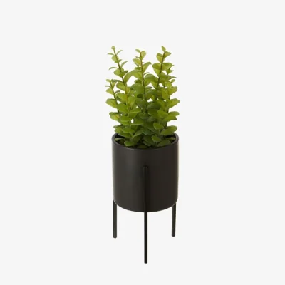 Olivia's Olivia's Freda Planter Thyme