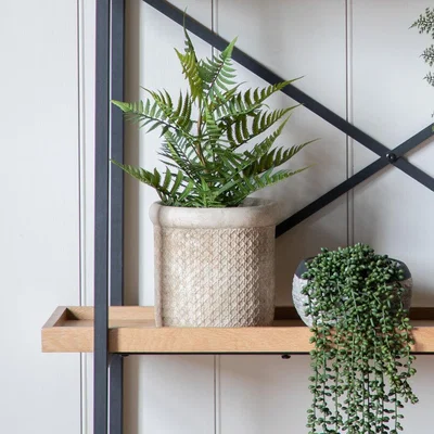 Olivia's Gallery Interiors Elise Planter Large Natural / Large