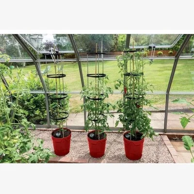 Downtown Garland Self Watering Grow Pot Planter - Red