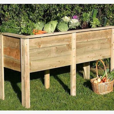 Downtown Zest Garden Deep Root Wooden Planter - 1.8m In NaturalWood
