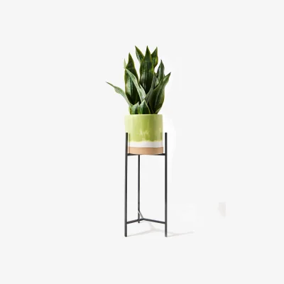 Oliver Bonas Nora Green Ceramic Standing Plant Pot Large