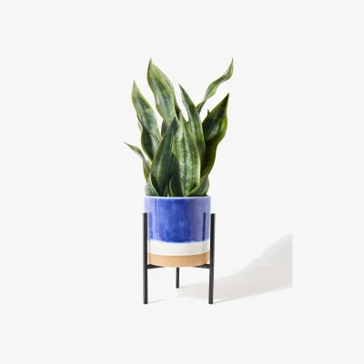 Oliver Bonas Nora Blue Ceramic Standing Plant Pot Small