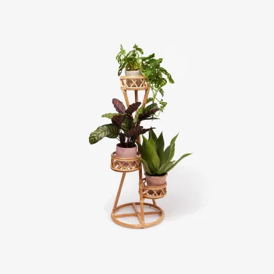 Oliver Bonas Bali Natural Rattan Triple Plant Stand