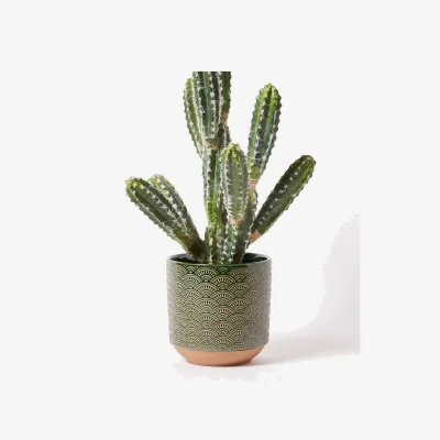 Oliver Bonas Modelo Geometric Dark Green Ceramic Plant Pot Medium