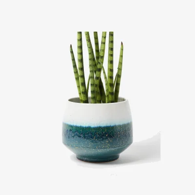 Oliver Bonas Burnett Gold Speckle Green Plant Pot Large
