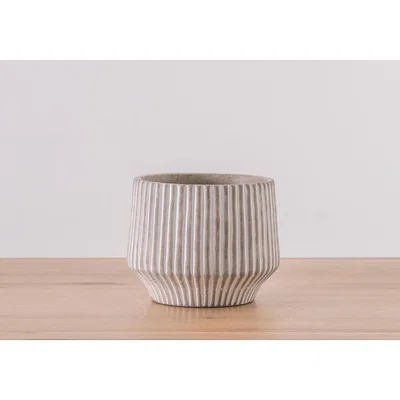 Perch and Parrow Warrick Striped Pot in Whitewash, Large