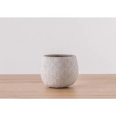 Perch and Parrow Shiloh Leaf Pattern Cement Pot, Small