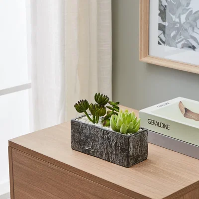 Pagazzi Large Artificial Succulent