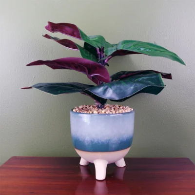 The Range Artificial Office Plants Ficus in Teal Ceramic Planter - 35cm Ficus Plant Teal Blue Green Ceramic Planter