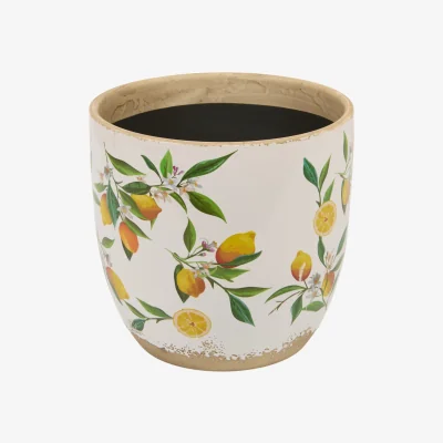 The Range Lemon Egg Plant Pot - 19cm