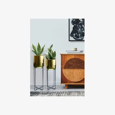 The Range Green Decore Vivid Set of 2 Planter With Stands - Brass - Brass