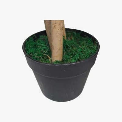 The Range 120cm Artificial Mango Tree with Metal Planter - Green