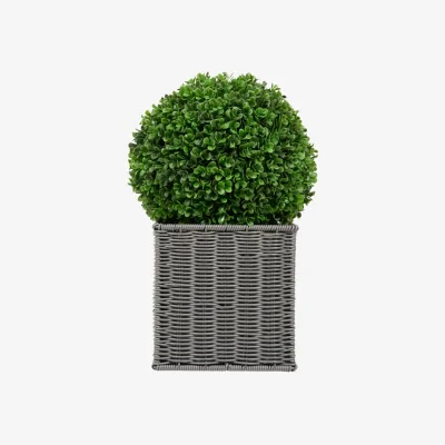The Range Boxwood Ball in Square Rattan Pot - Grey