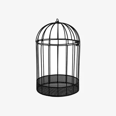 The Range Large Wired Hanging Birdcage Planter - black