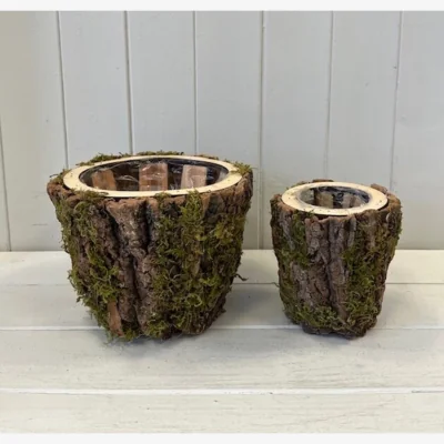 The Range Brown Set of Two Round Mossed Bark Wooden Pot - Brown
