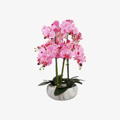 The Range Large Luxury Artificial Orchid in Ceramic Planter - Pink