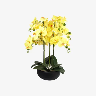 The Range Large Luxury Artificial Orchid in Ceramic Planter - Yellow