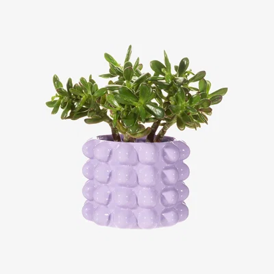 The Range Stoneware Indoor Bobble Plant Pot - Lilac