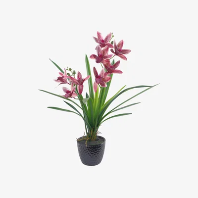 The Range Large Dark Pink Artificial Orchid in Ceramic Planter - Dark Pink