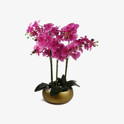 The Range Large Luxury Artificial Orchid in Ceramic Planter - Pink