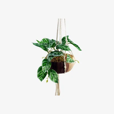 The Range Hanging Artificial Pothos Plant with Planter - Hanging Pothos Plant Planter