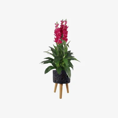 The Range Luxury Indoor Planter Cachepot - Grey / 24cm