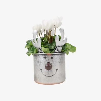 The Range Metal Reindeer Planter with Cyclamen - Festive Christmas Decoration - metal brown