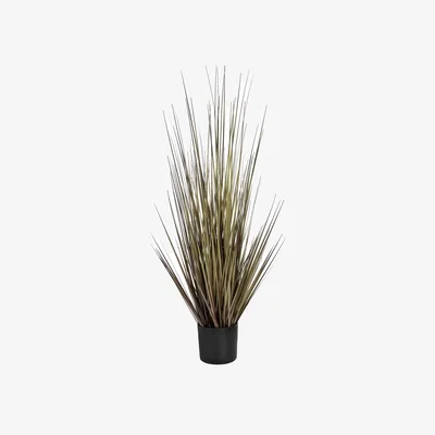 The Range Medium Potted Spray Grass 36 Inch - Green
